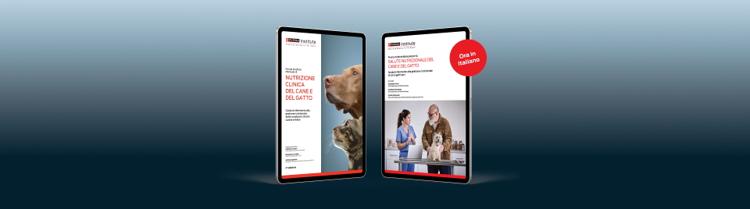 DUE eBook. Entrambi gratuiti.