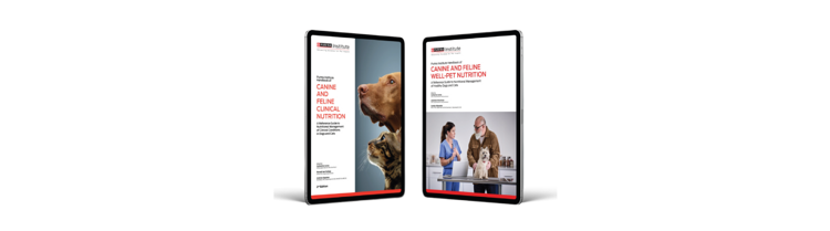 TWO Ebooks. Both Free.
