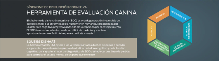 herramienta de evaluación canina