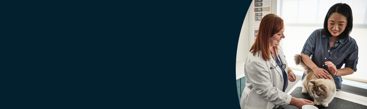 Nourishing Bonds: How to Prevent and Address Food Aversions in Pets