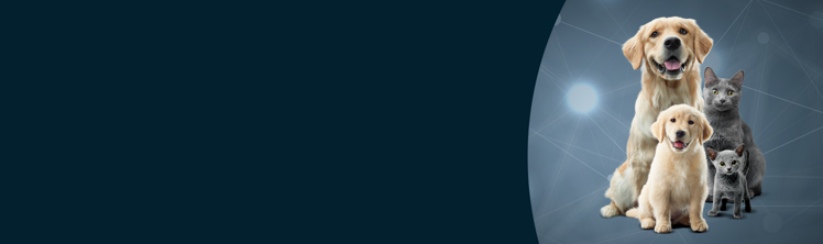 Proactive, Not Reactive: Changing the Care Paradigm