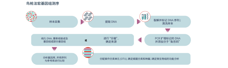 鸟枪法宏基因组测序