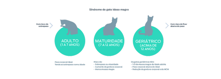 gráfico de síndrome do gato velho magro