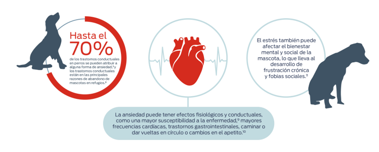 Hasta el 70% de los trastomos conductuales en perros se pueden atribuir a alguna forma de ansiedad,3 y los trastomos conductuales están en las principales razones de abandono de mascotas en refugios.8 La ansiedad puede tener efectos fisiológicos y conductuales, como una mayor susceptibilidad a la enfermedad,9 mayores frecuencias cardíacas, trastornos gastrointestinales, caminar o dar vueltas en círculo o cambios en el apetito.10 El estrés también puede afectar el bienestar mental y social de la mascota, lo