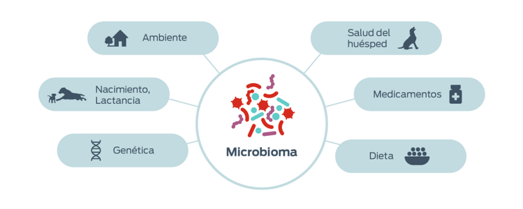 Microbioma. Genética. Nacimiento, lactancia. Ambiente. Salud del huésped. Medicamentos. Dieta