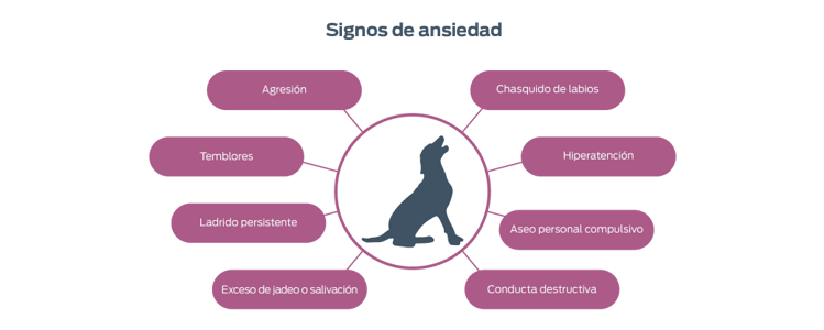 Signos de ansiedad: agresión, chasquido de labios, temblores, hiperatención, ladrido persistente, aseo personal compulsivo, exceso de jadeo s salivación, conducta destructiva.