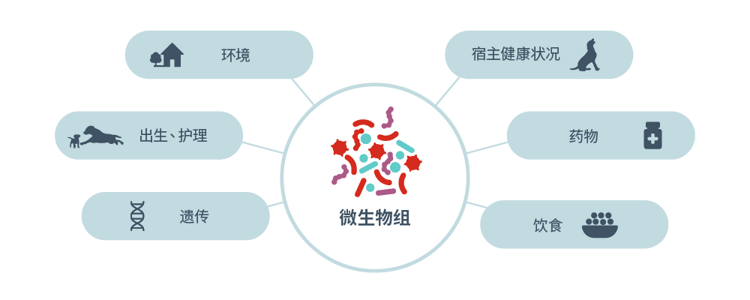 影响微生物群落的因素图标