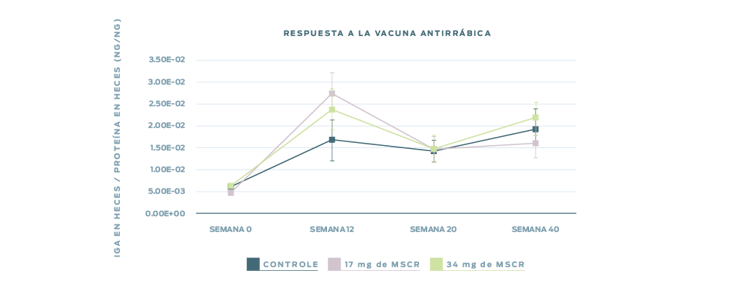 Respuesta a la vacuna antirrábica