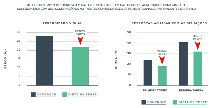 instituto purina melhorou o desempenho cognitivo