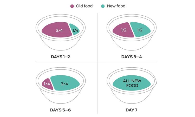 switching pet foods graphic