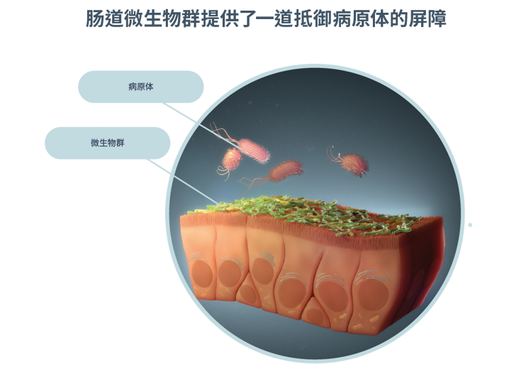 代表性相对丰度普通细菌