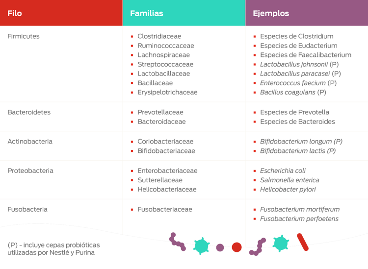 tabla ejemplos de filo