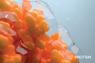 purina-institute-omnics-proteomics