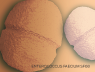 probiotici