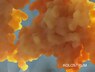 immunität und kolostrum 