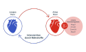 Grafik eines alten Herzens