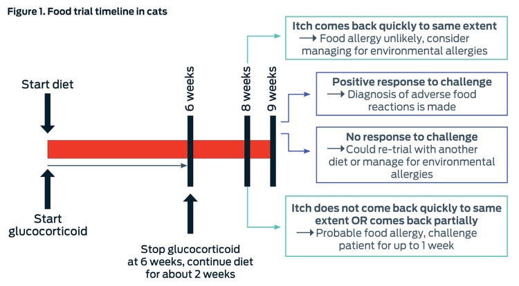 Figure-1-food-trial-timeline-cats