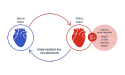 graphique représentant un vieux cœur