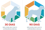 síndrome de disfunção cognitiva cão hexi gráfico