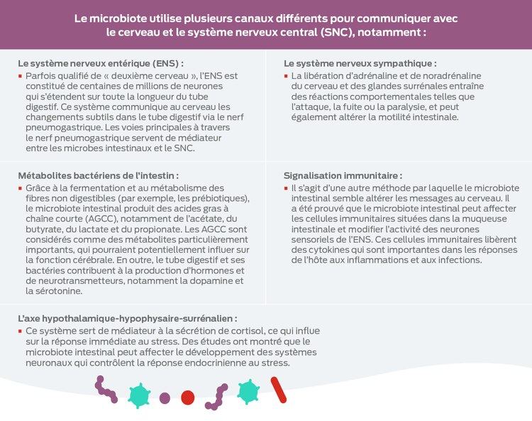 tableau du système nerveux central cérébral