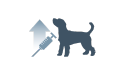 ícone de injeção canina