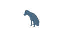 Graphik „Navy-Hund“