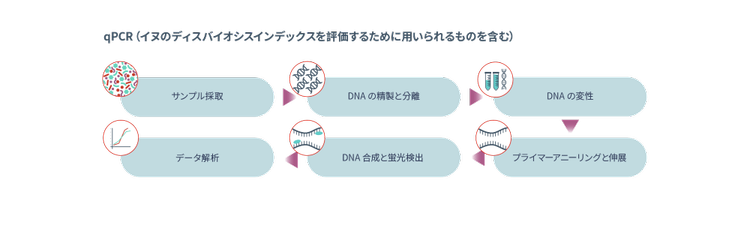 qPCR（イヌのディスバイオシスインデックスを評価するために用いられるものを含む）の図