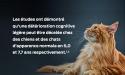 cerveau vieillissant
