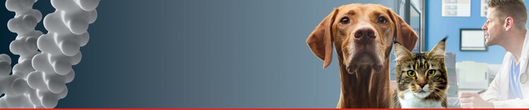 homepage banner