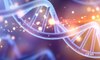 DNA