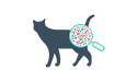 ícone de ampliação de gato