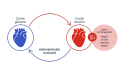 vecchia grafica del cuore