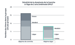 Tableau de gravité de la dysplasie de la hanche.