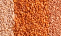 céréales de différentes couleurs