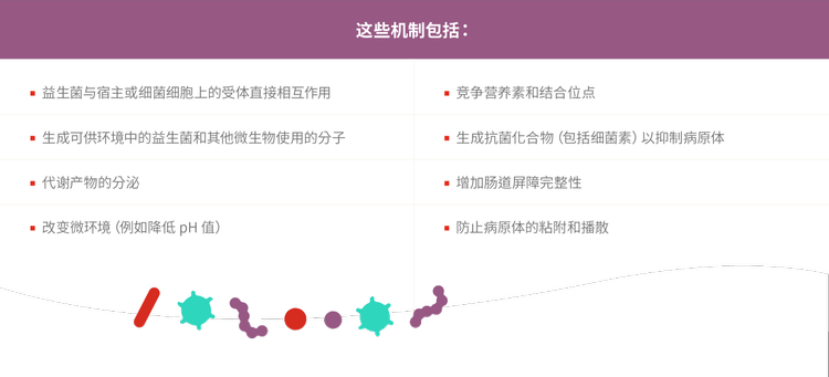 机构表