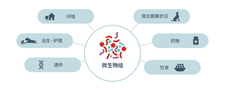 影响微生物群落的因素图标