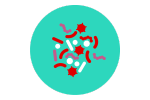 微生物图标
