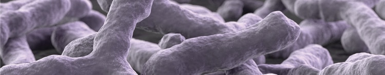 Purina Institute 非複製微生物ビフィドバクテリウム