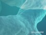 micro-organismes non réplicatifs 