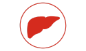 pictogramme de couleur rouge d'un foie