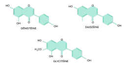 Composition chimique des isoflavones de soja. Génistéine (C15H10O5), daidzéine (C15H10O4), glycitéine (C16H12O5)