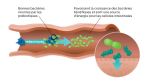 purina-institute-digestion