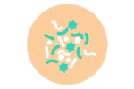 icône microbiome équilibré