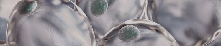 Gérer une bannière Poids santé