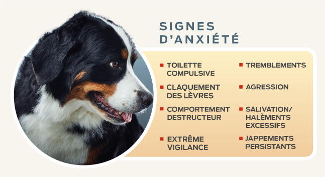 signes-anxiété