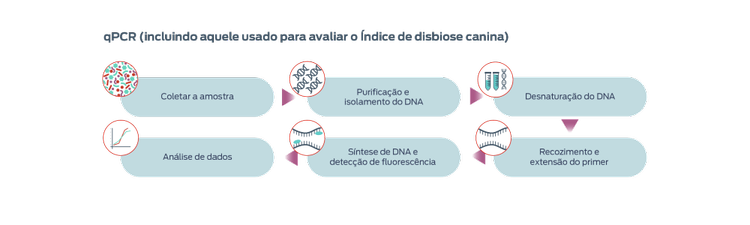 qpcr_v3