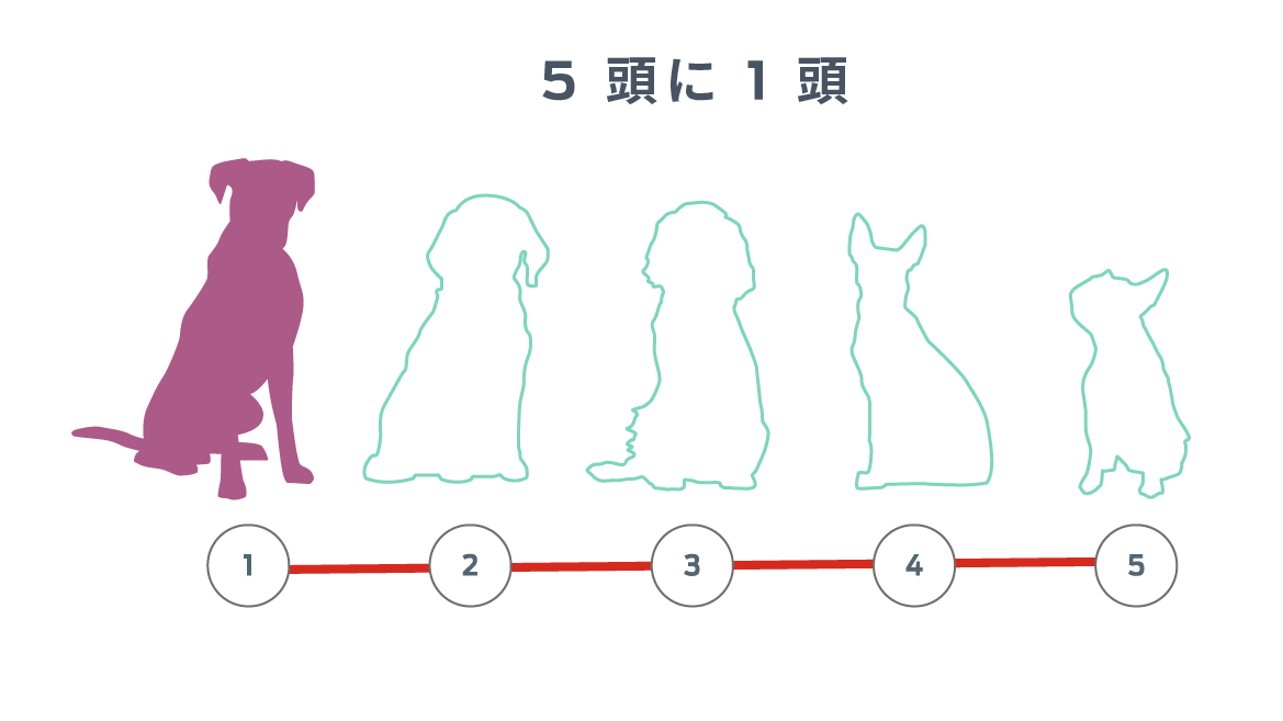 5 頭の犬の輪郭が並んでおり、そのうちの 1 頭の輪郭が塗りつぶされています。