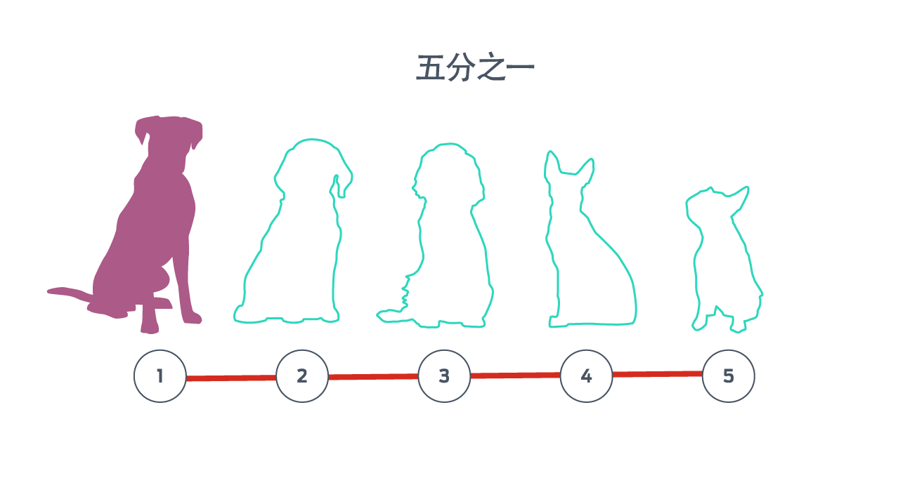 五只犬的轮廓图依次排列，其中一个轮廓图填充了颜色。