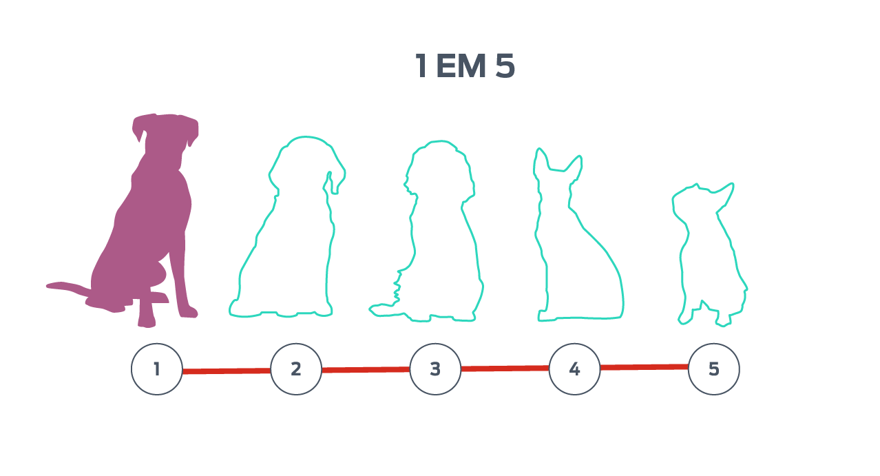 Uma linha de contorno de cinco cães, um desses contornos é preenchido.