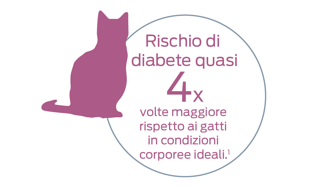 Rischio di diabete quasi 4 volte maggiore rispetto ai gatti in condizioni corporee ideali.
